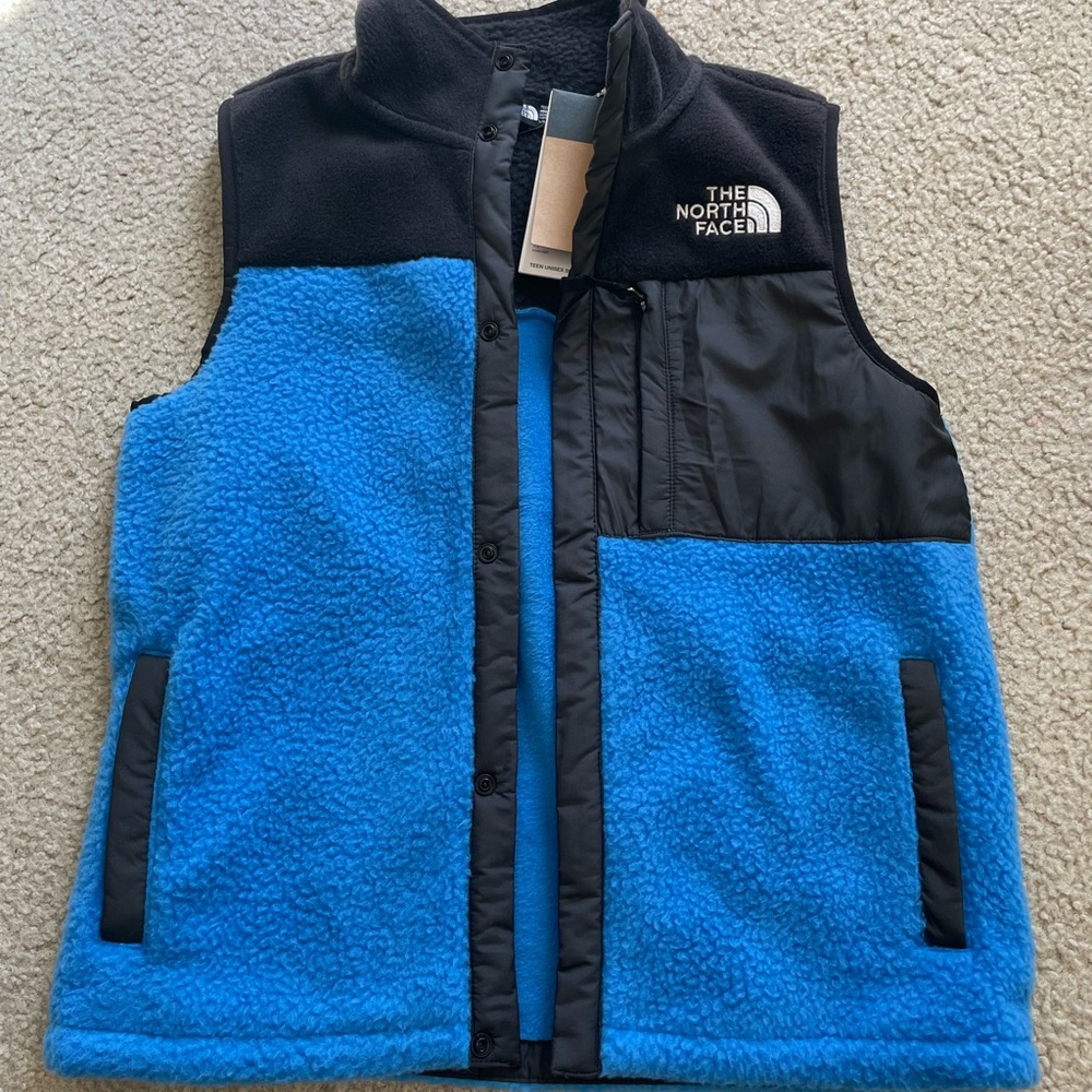 The north face teen mashup vest